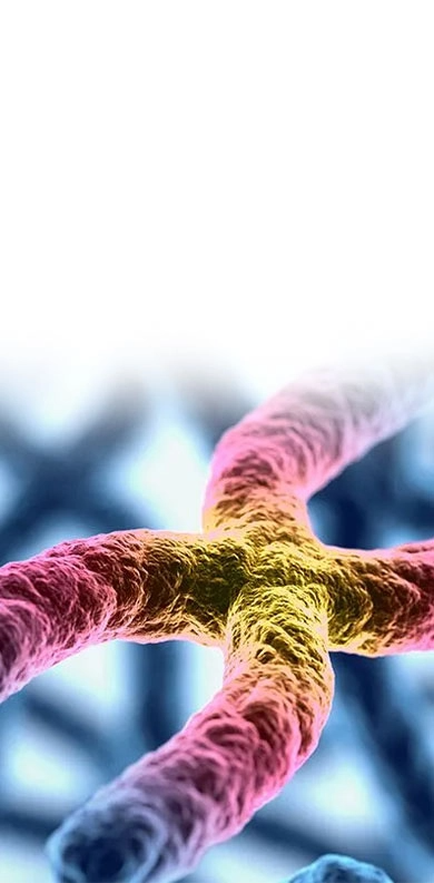 telomere testing dubai