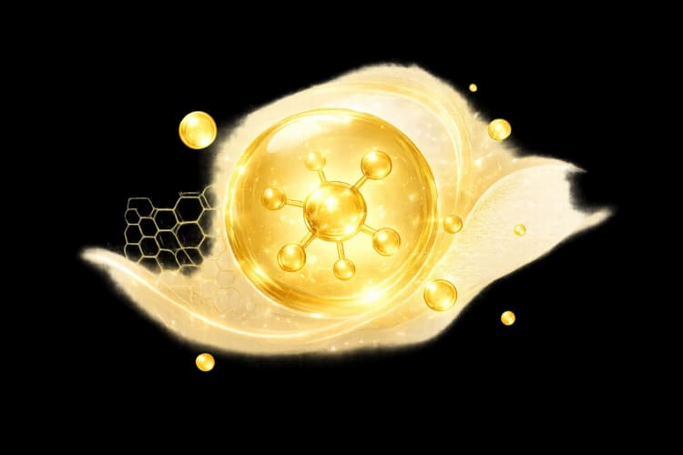Dermal repair elasticity support molecule