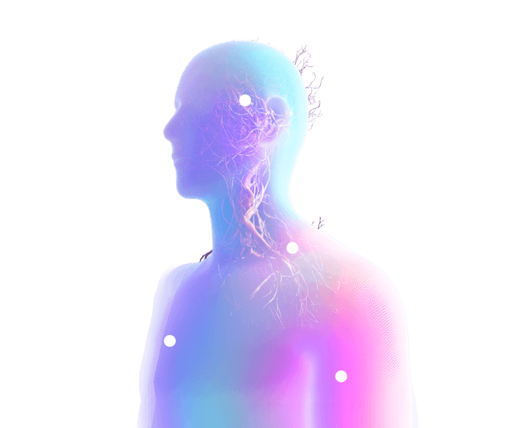 Neurological system graphic representing specialized neuro physiotherapy care.