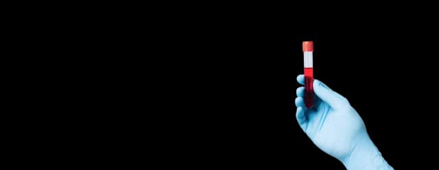 banner-img