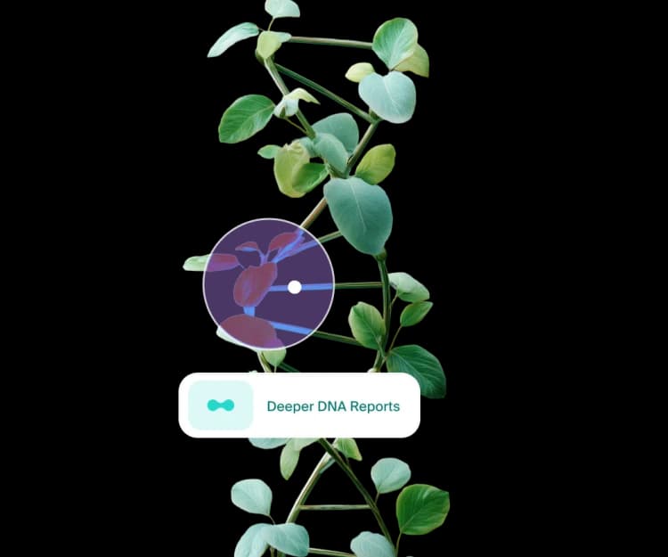 300+ Page Advanced DNA Report for Deeper Health Insights