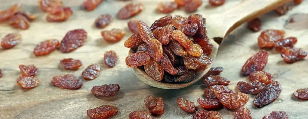 دور الفواكه المجففة في نظامك الغذائي والتغذية اليومية