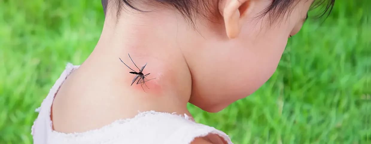 Types of Dengue Test and Diagnostic Methods