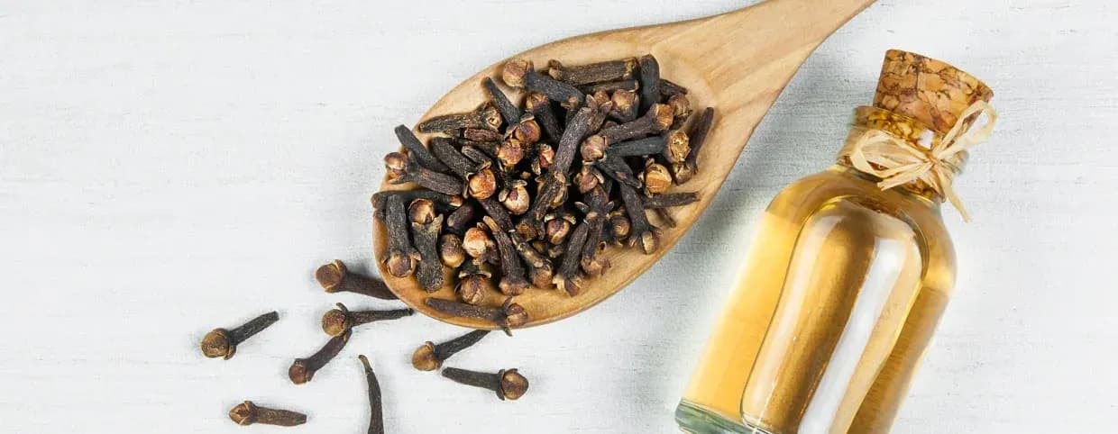 Simple Home Remedies to Support Your Dental Health