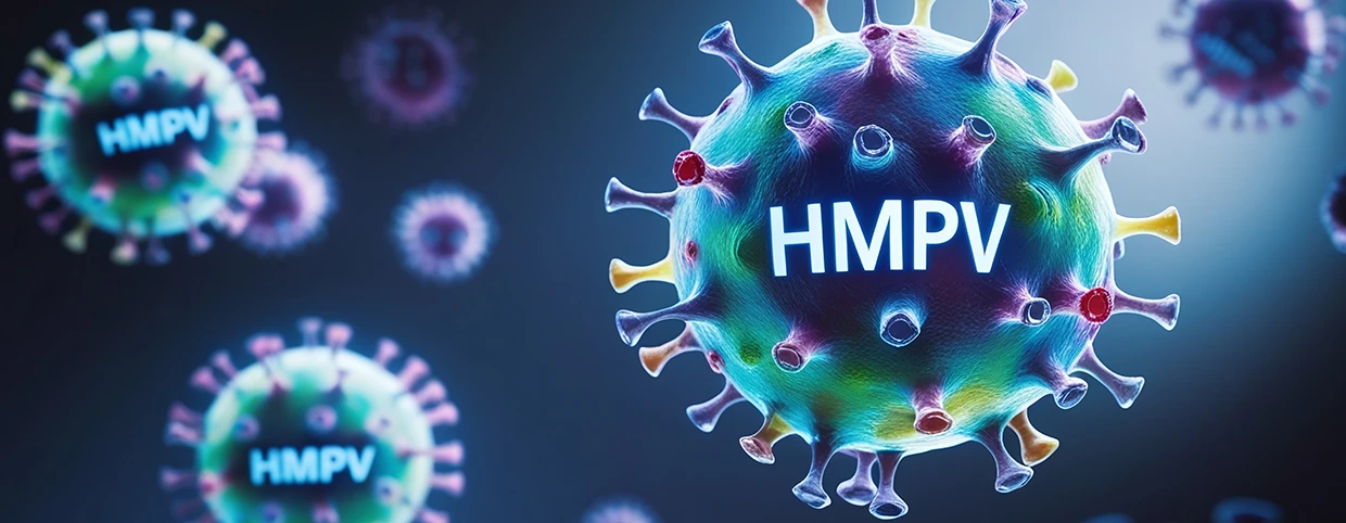 3D illustration of HMPV virus particles